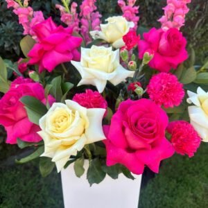 Blush & Bloom